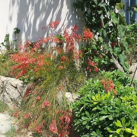 Βίλα Bodrum Mustakil